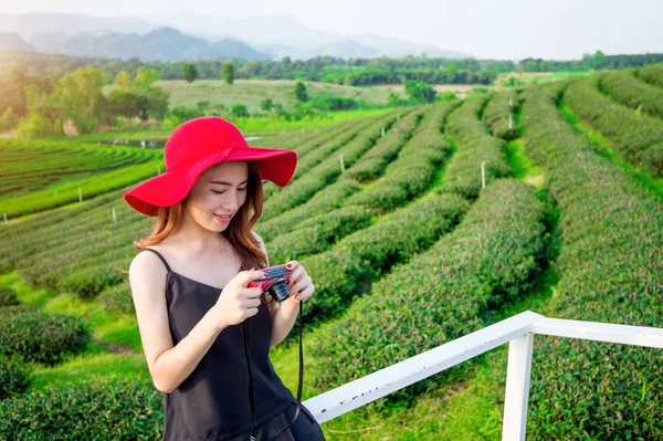 Beautiful girl with red hat in green tea mountain. — Stock Photo, Image