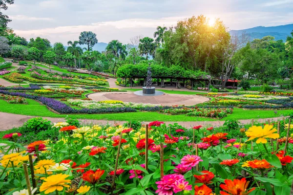 Flores do jardim, Mae fah luang jardim localizar em Doi Tung em Chiang Rai, Tailândia . — Fotografia de Stock