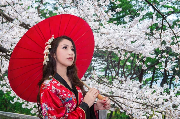 Ázsiai nő visel hagyományos japán kimonó piros esernyő és a cherry blossom. — Stock Fotó