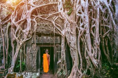Rahipler ve Ta Prohm Tapınağı, Angkor Wat, Kamboçya dışında büyüyen ağaçlar.