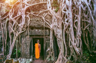 The monks and Trees growing out of Ta Prohm temple, Angkor Wat in Cambodia. clipart