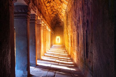 Rahipler de Angkor Wat, Siam Reap, Kamboçya.