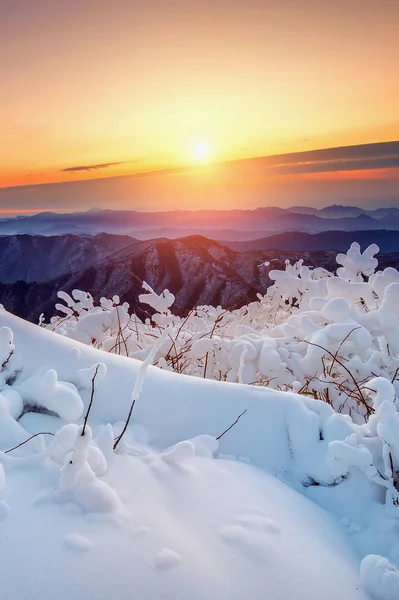 Soluppgång på Deogyusan berg täckta med snö på vintern, Sydkorea. — Stockfoto
