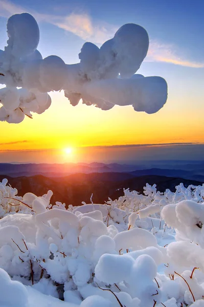 在韩国的冬天，白雪覆盖的德裕山山上的日出. — 图库照片