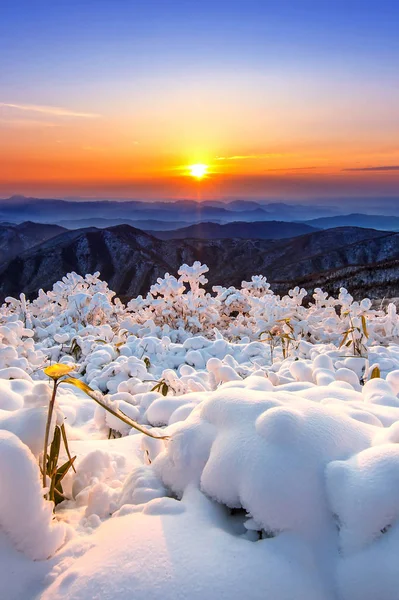 Belo nascer do sol em Deogyusan montanhas cobertas de neve no inverno, Coréia do Sul . — Fotografia de Stock