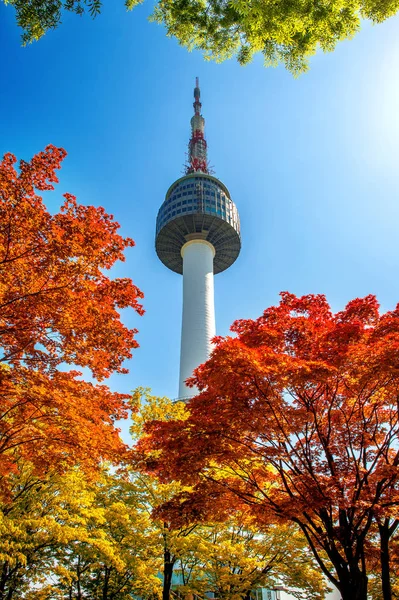 Namsan Mountain Güney Kore'de Seul Kulesi ve kırmızı sonbahar akçaağaç yaprakları. — Stok fotoğraf