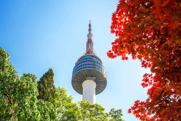 Namsan Mountain Güney Kore'de Seul Kulesi ve kırmızı sonbahar akçaağaç yaprakları. — Stok fotoğraf