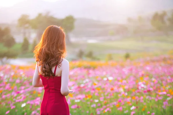 Tânără femeie frumoasă cu o floare Cosmos . — Fotografie, imagine de stoc