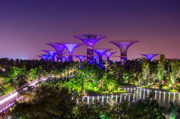 Super träd i trädgården vid Bay, Singapore natten stadsbilden. — Stockfoto