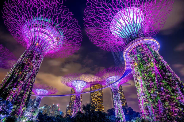 Singapore - 11 Feb 2017: Singapore stadsbilden på natten i Singapore. — Stockfoto