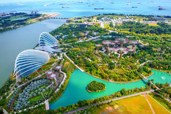 SINGAPORE - FEB 10, 2017: Super árvore no jardim na baía, Cingapura . — Fotografia de Stock