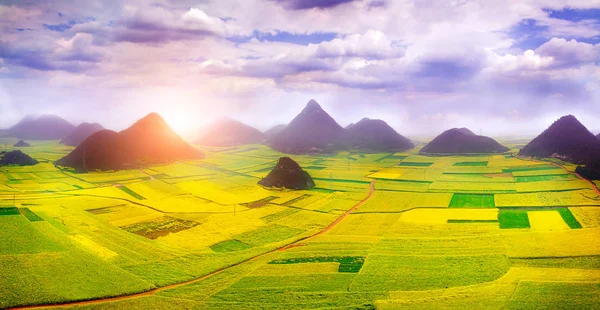 Rapsfeld, Rapsblumenfeld mit Morgennebel in Luoping, China. — Stockfoto