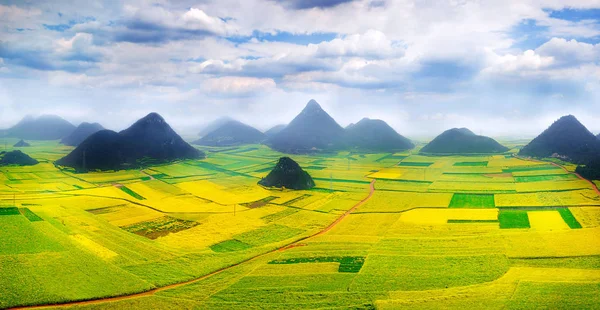 Rapsfeld, Rapsblumenfeld mit Morgennebel in Luoping, China. — Stockfoto