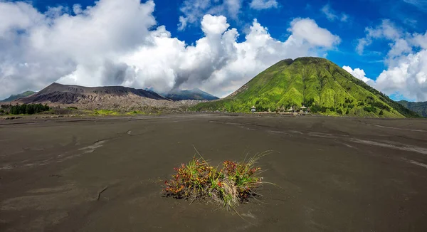 Volcan Mount Bromo (Gunung Bromo) dans le parc national Bromo Tengger Semeru, Java Est, Indonésie . — Photo