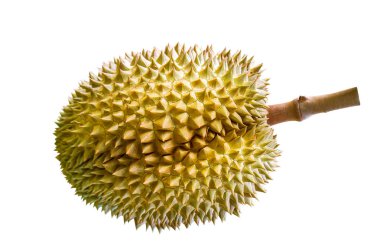 durian beyaz arkaplanda.