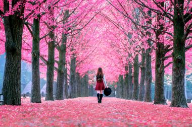 Pembe yaprakları namı Adası, Güney Kore ile güzel kız.