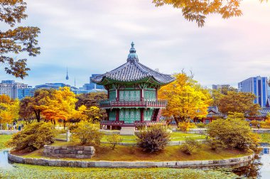 Gyeongbokgung Sarayı Güz, Güney Kore.