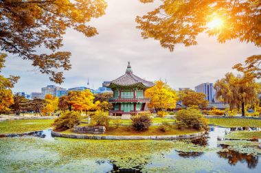 Gyeongbokgung Sarayı Güz, Güney Kore.