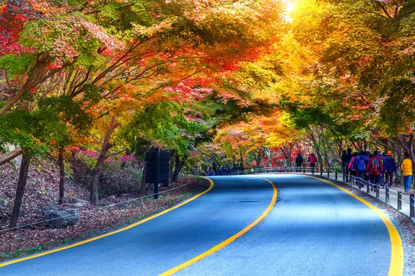 Sonbahar Milli Parkı, Güney Kore. — Stok fotoğraf