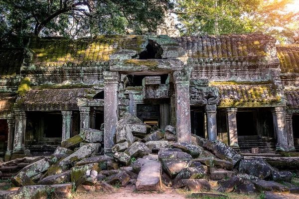 Angkor Wat Temple, Siem colhe no Camboja . — Fotografia de Stock
