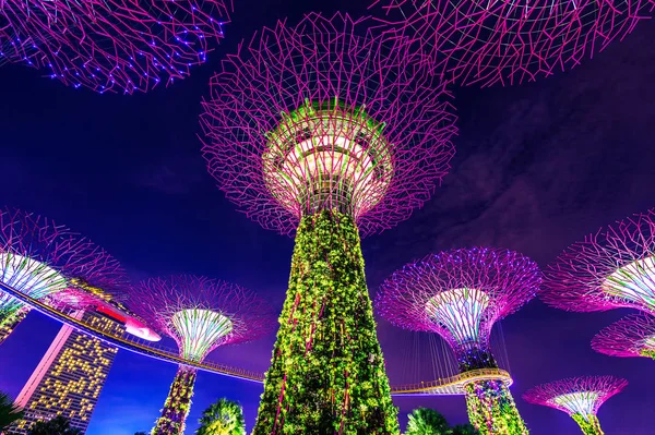 Super träd i trädgården vid viken, Singapore. — Stockfoto