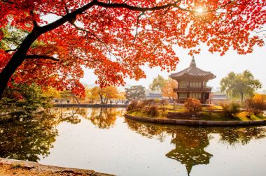 Gyeongbokgung Sarayı, Güney Kore'de Seul sonbaharda.