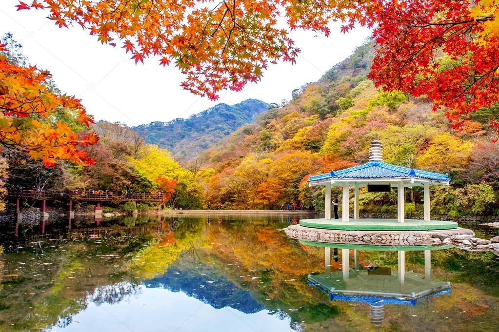 Autumn in Naejangsan National park, South Korea.