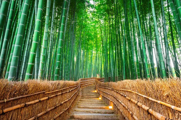 Floresta de bambu em Kyoto, Japão. — Fotografia de Stock