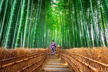 Bambu Ormanı. Japonya 'nın Kyoto kentindeki Bambu Ormanı' nda geleneksel Japon kimonosu giyen Asyalı kadın..