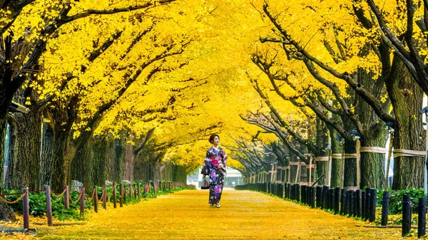 일본 전통 기모노를 입은 아름다운 소녀가 가을에 노란 긴 고나무에 줄을 서 있다. 일본 도쿄의 가을 공원. — 스톡 사진