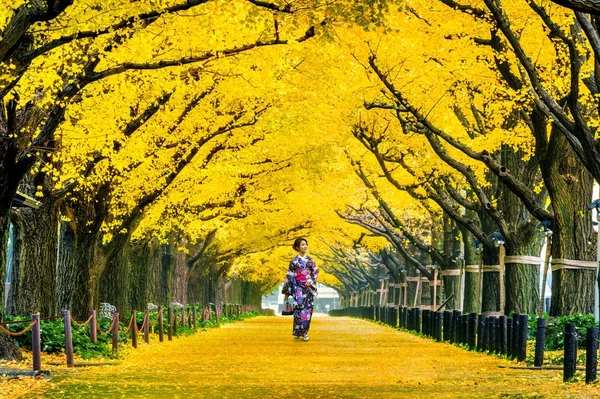 Sonbaharda sarı ginkgo ağacında geleneksel Japon kimonosu giyen güzel bir kız. Tokyo, Japonya 'da sonbahar parkı. — Stok fotoğraf