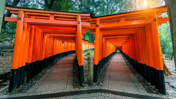 Fushimi inari santuario en kyoto, Japón — Foto de Stock