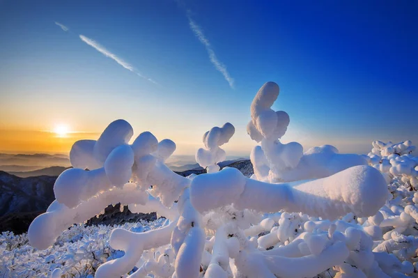 Deogyusan horách sněhová pokrývka v zimě, Jižní Korea. — Stock fotografie