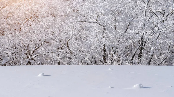 Βουνά Deogyusan καλύπτεται από χιόνι το χειμώνα, Νότια Κορέα. — Φωτογραφία Αρχείου