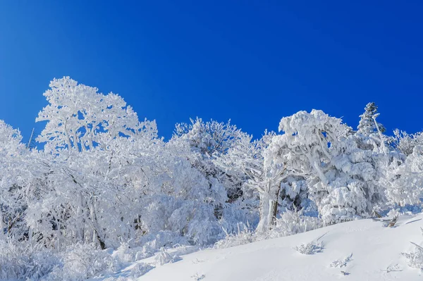Deogyusan montañas está cubierto de nieve en invierno, Corea del Sur . — Foto de Stock