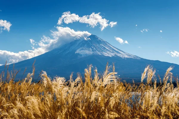 Fuji dağlar ve kawaguchiko Gölü Güz, Japonya.