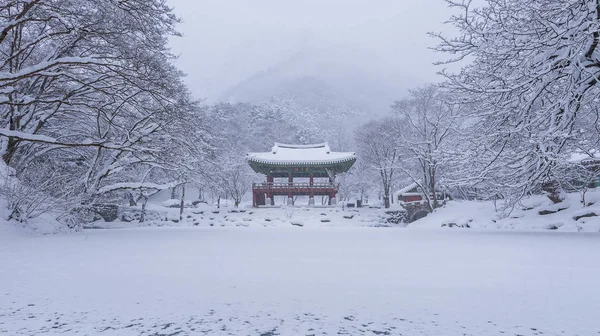 Храм Пэкянса и падающий снег, гора Неджансан зимой со снегом, Знаменитая гора в Корее. Зимний пейзаж . — стоковое фото