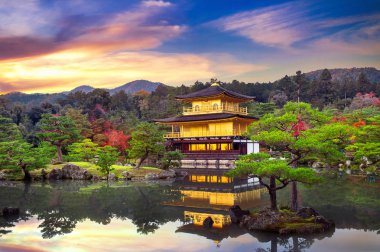 Altın Köşk. Japonya, Kyoto 'daki Kinkakuji Tapınağı.