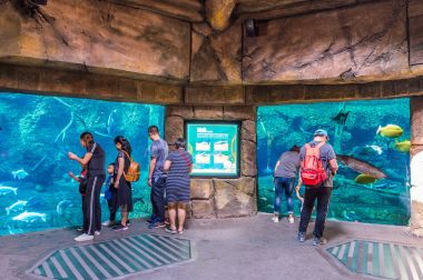 Zhuhai Chimelong okyanus Krallık Park Zhuhai, Çin.