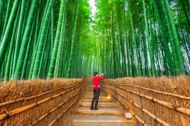 Kadını kabul bir fotoğraf bambu orman Kyoto, Japonya.