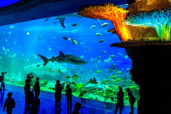 Zhuhai Chimelong Ocean Kingdom Park a Zhuhai, Cina . — Foto Stock