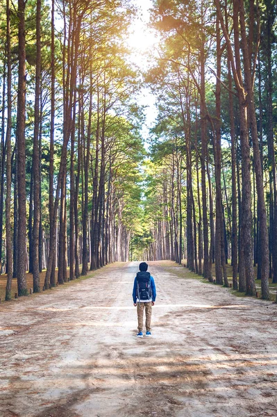 徒步旅行的人与背包在森林里行走. — 图库照片