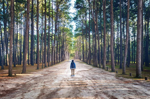 バックパックの森を歩くと男のハイキング. — ストック写真