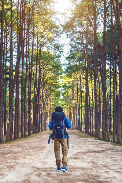 Vandring man med ryggsäck promenader i skogen. — Stockfoto