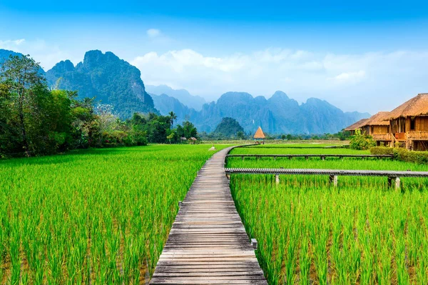 Trä sökväg och gröna risfält i Vang Vieng, Laos. — Stockfoto