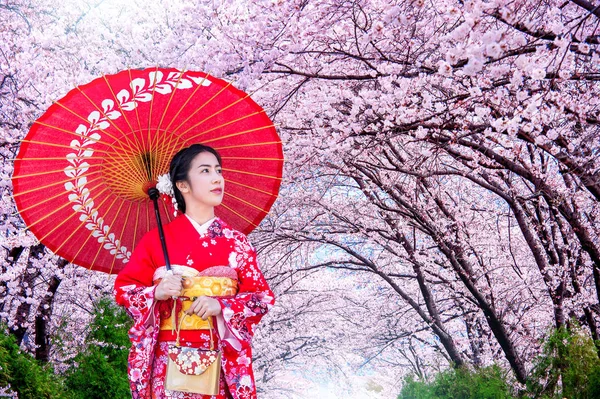Mujer asiática usando kimono tradicional japonés y flor de cerezo en primavera, Japón. — Foto de Stock