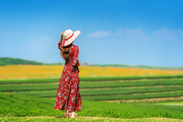 Vrouw stond op groen gras op gebied van groene thee. — Stockfoto