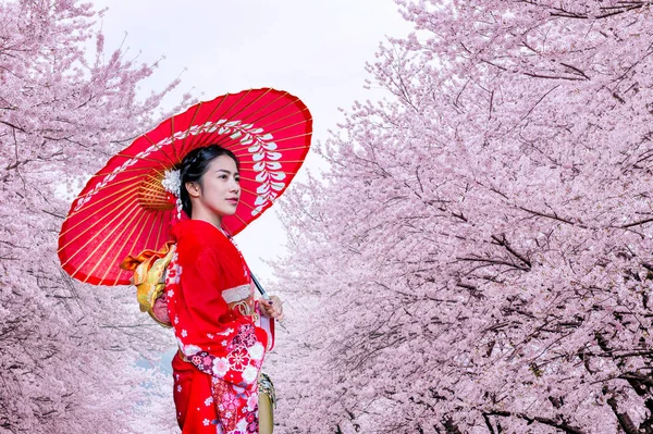 Donna asiatica che indossa kimono tradizionale giapponese e fiori di ciliegio in primavera, Giappone. — Foto Stock
