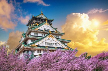 Bahar Osaka Kalesi ve Cherry blossom gün batımında. Sakura Sezon Osaka, Japonya.