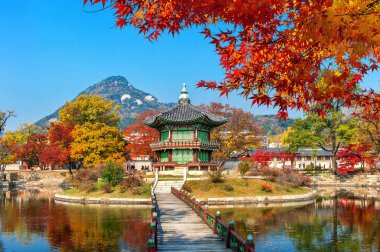 Sonbaharda Gyeongbokgung Sarayı, Güney Kore Seul.